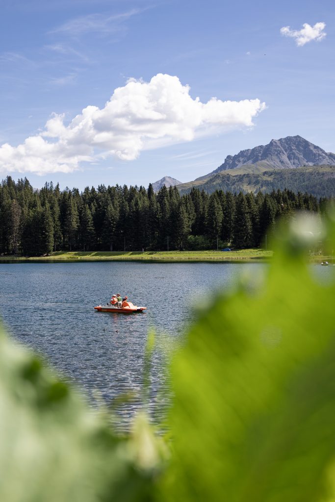 Arosa Jutzler 2023 128 683x1024 1