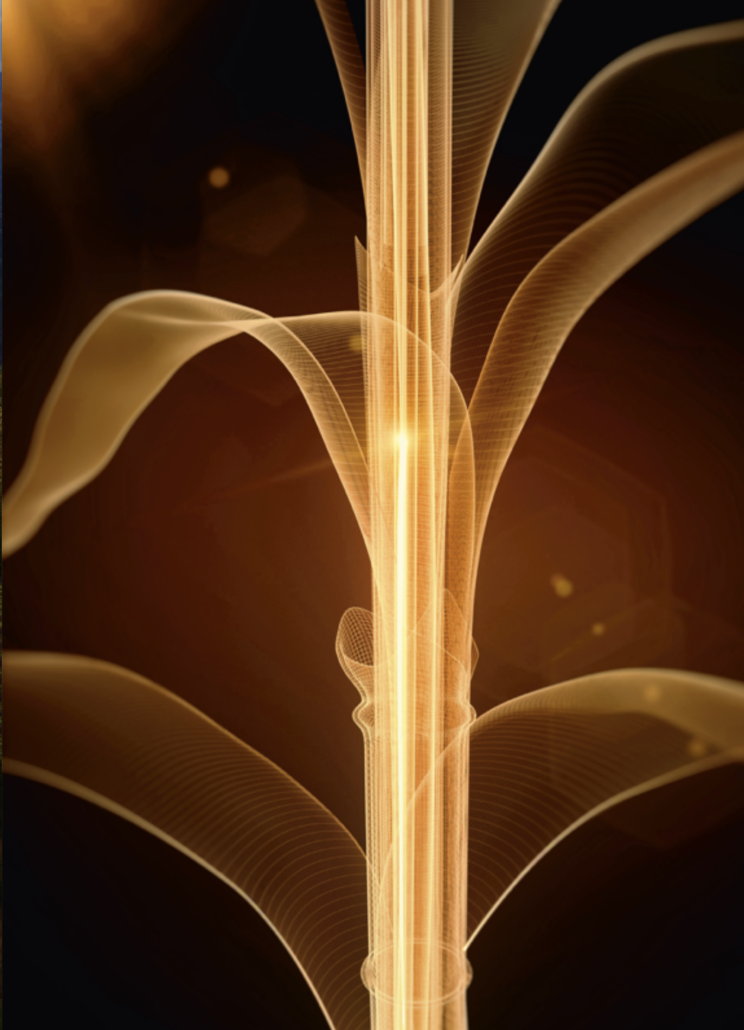 Bildschirmfoto 2024 10 31 um 17.56.20