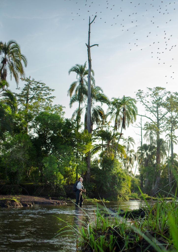 KAMBA Explore on foot Andrew Howard 724x1024 1