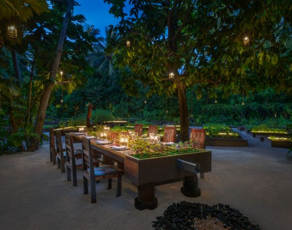 STR MLEXR The Elements Dinning experience 1