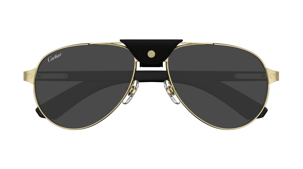 CARTIER CT0495S 001 Front