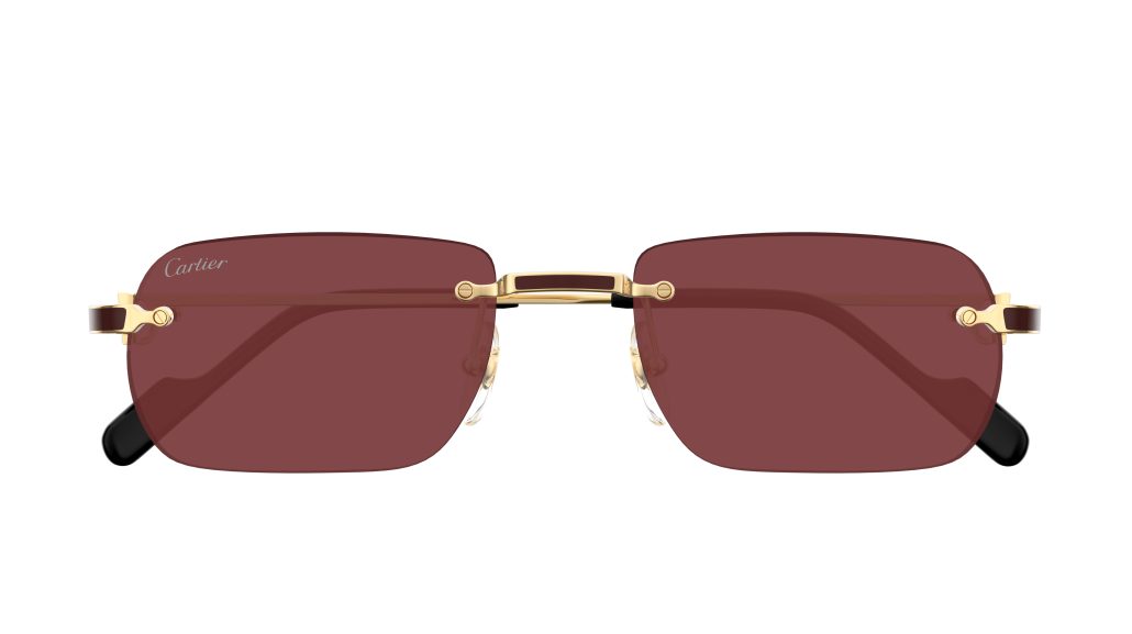 CARTIER CT0498S 002 Front