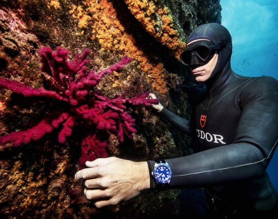 TUDORxMORGAN BOURCHIS5