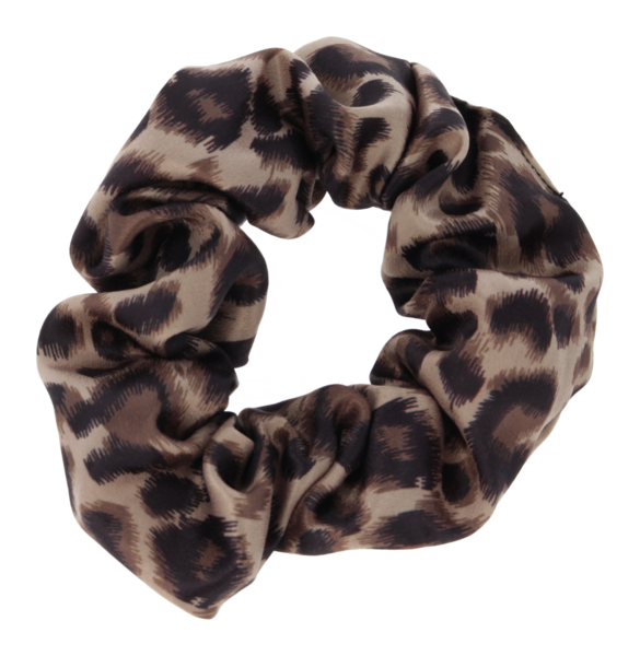 pars01.05b pb scurly powerful leopetra