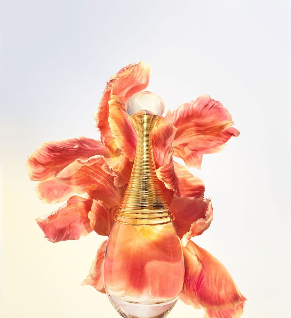 F607 JADORE RENO LOR 23 D12F Fleurs 2 Infinissime CROP L4 F39 937x1024 1