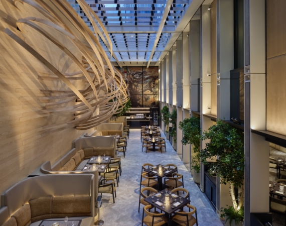 Bildschirmfoto 2024 11 09 um 19.24.19