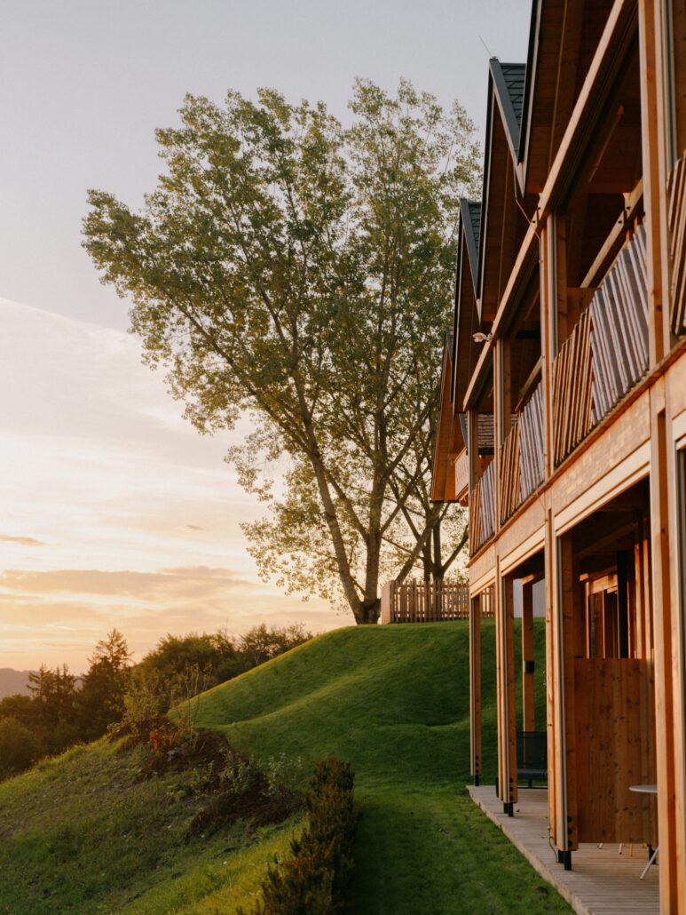 mitten in den suedstreirischen weinbergen c julius hirtzberger fraeulein leni