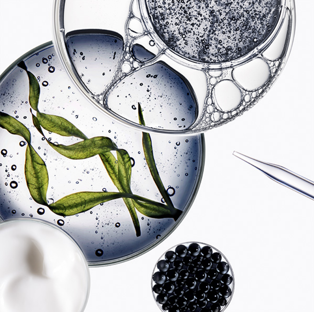 Bildschirmfoto 2024 11 18 um 11.01.35