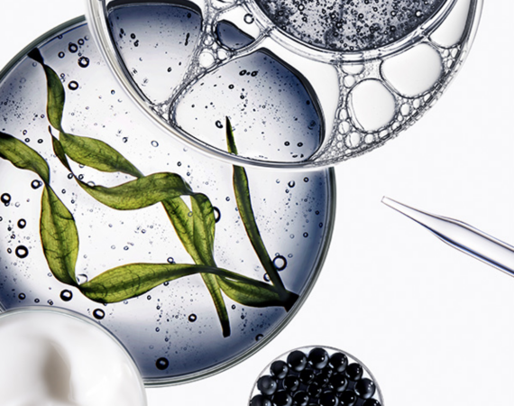 Bildschirmfoto 2024 11 18 um 11.56.59