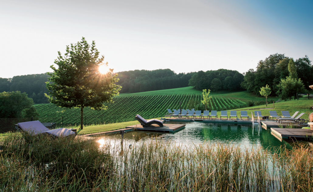 Bildschirmfoto 2024 11 22 um 12.12.03