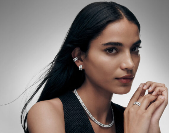 LOUIS VUITTON TUMBLER PREMIUM JEWELRY COLLECTION scaled e1731320133579