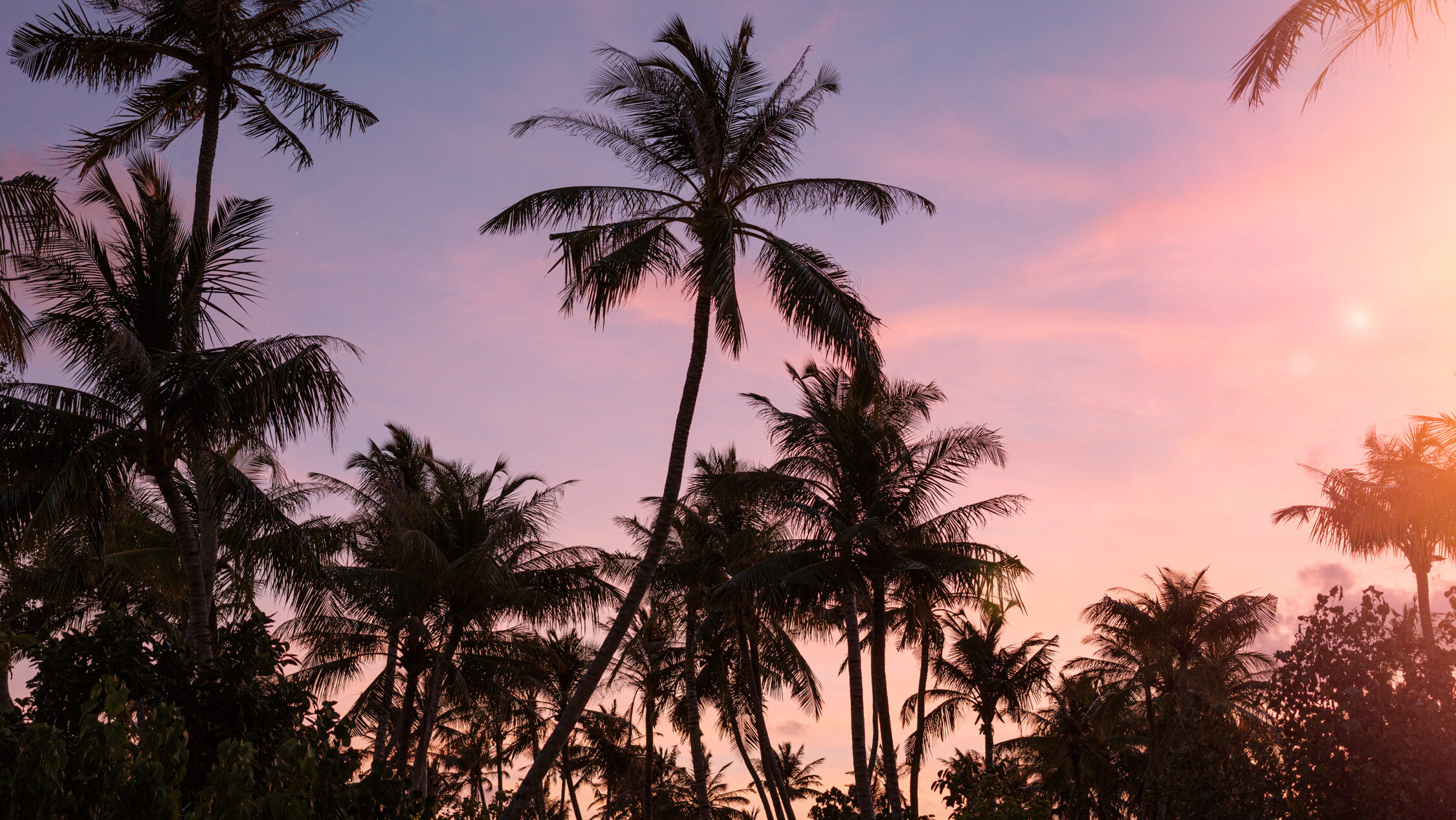 PATINA MALDIVES F B VELI BAR 1527 LowRes edited