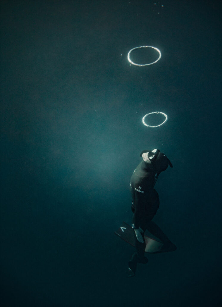 TUDORxMORGAN BOURCHIS4