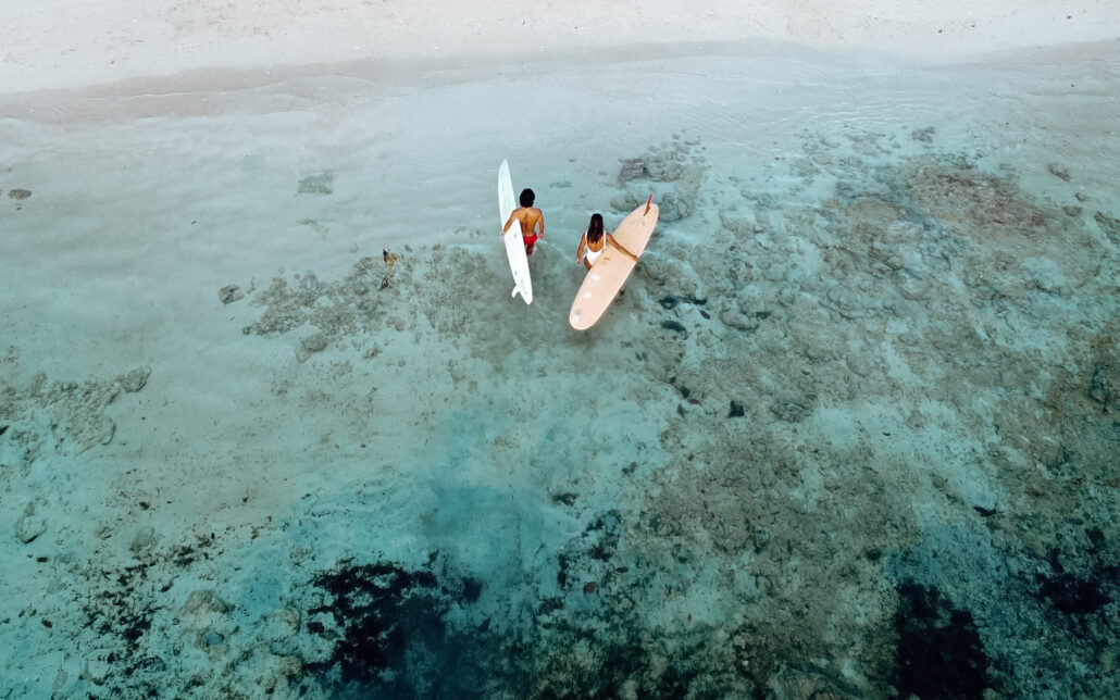 The Set Collection Nay Pal Hideaway Surfing Cloud9