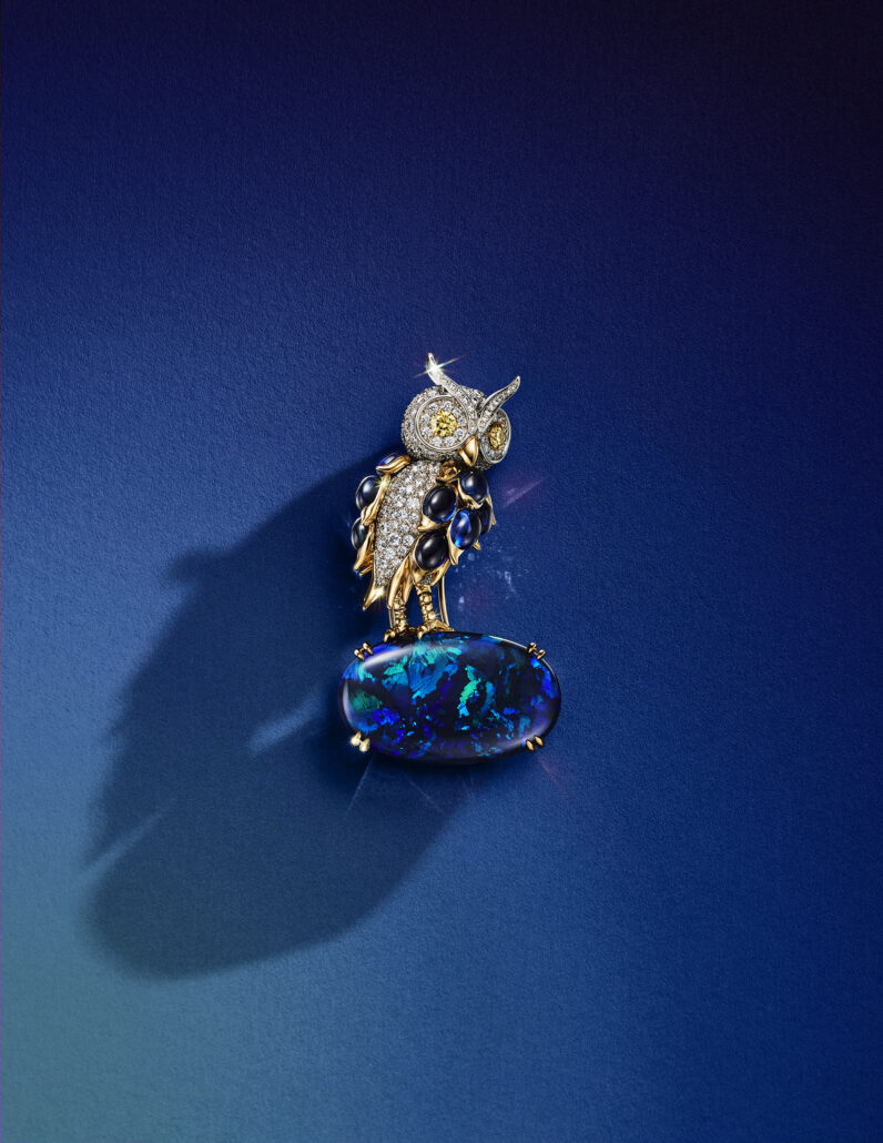 TiffanyCo. BlueBook2024 Celeste Fall74569277 BR BB2024 v1 TM 072324 03G