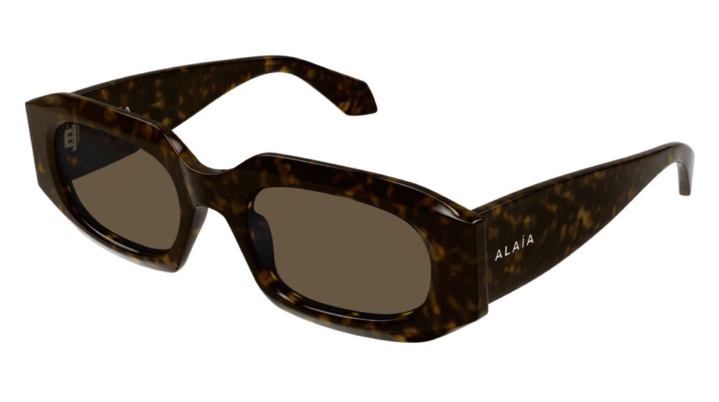 Alaia SS25 AA0086S 002 Cat