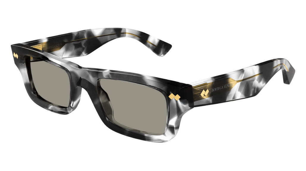 Bottega Veneta SS25 BV1351S 002 Cat