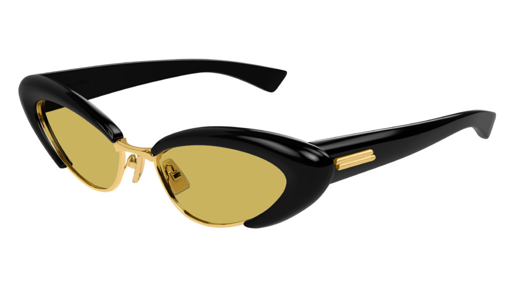 Bottega Veneta SS25 BV1387S 001 Cat