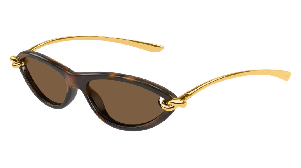 Bottega Veneta SS25 BV1390S 002 Cat 1