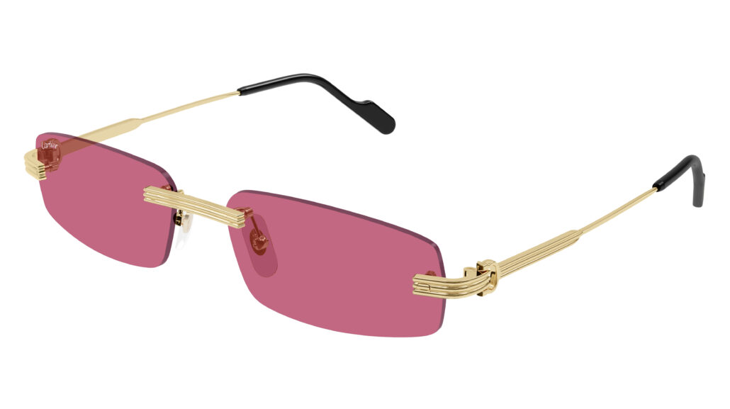 Cartier SS25 CT0535S 004 Cat