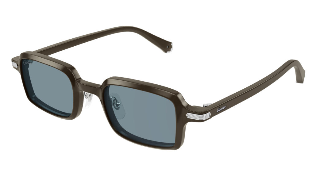 Cartier SS25 CT0539S 005 Cat