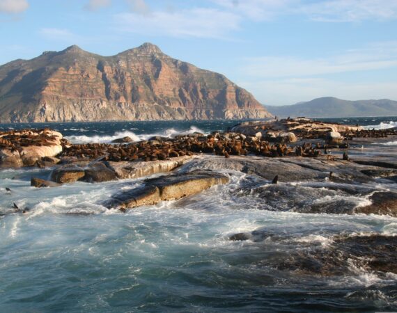 Duiker island Suedafrika ©Select Luxury Travel