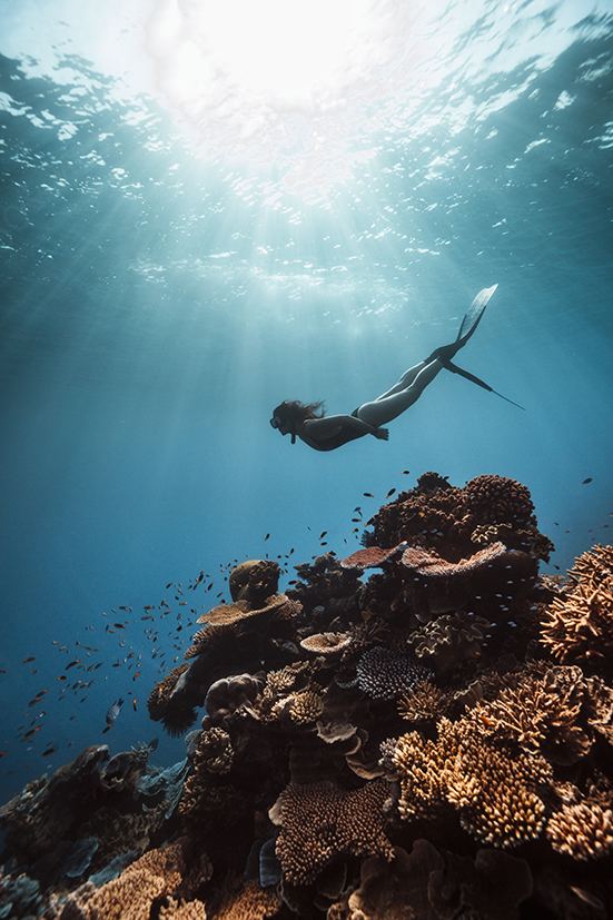 L.Briggs ReefCTourism and Events Queensland