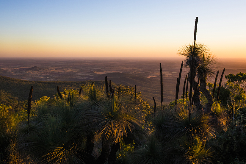 L.Bunya Mountain National ParkCTourism and Events Queensland