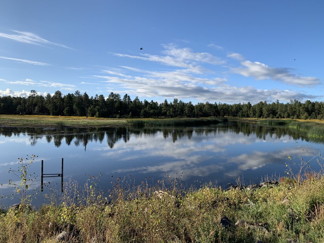 Pinetop Lakeside Woodland Lake Park courtesy Arizona Office of Tourism