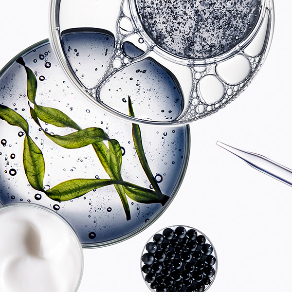 R Chronologiste Mood