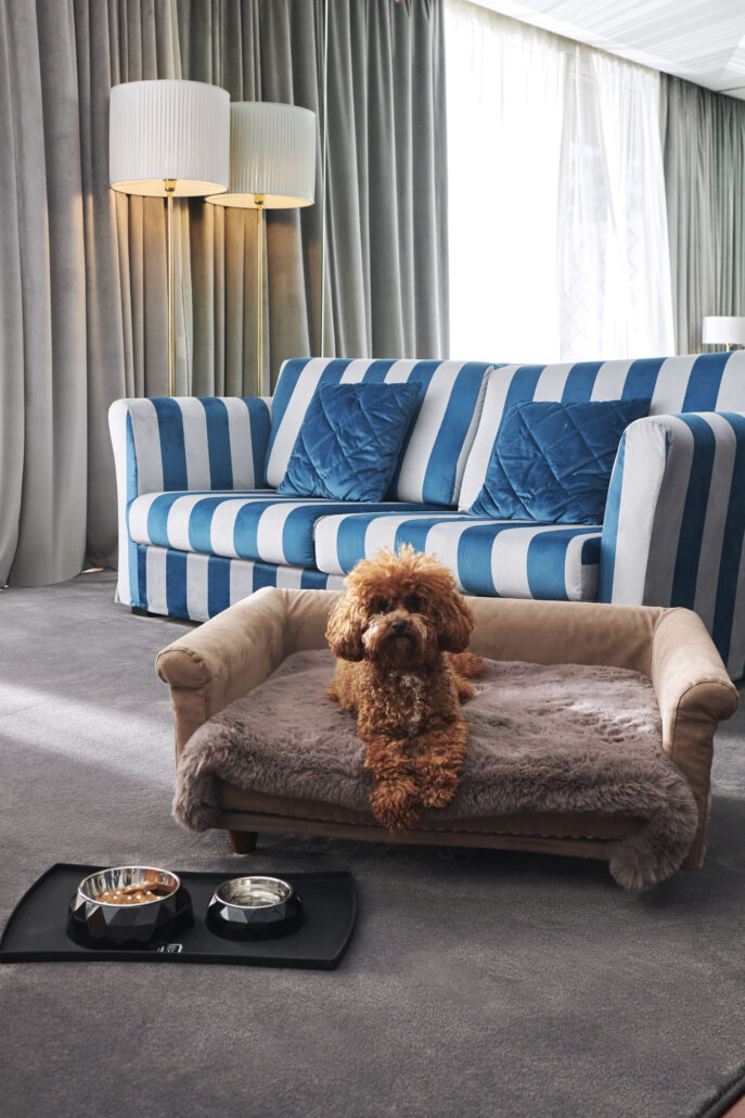 231218 VILLALEOPOLDO2903 A