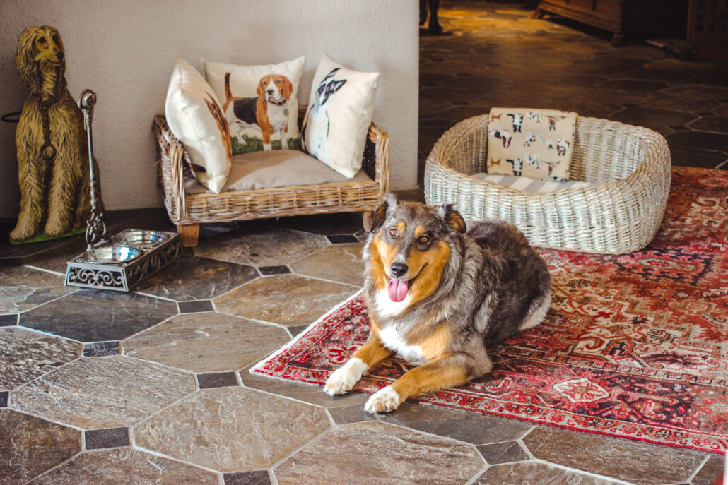 Pet Friendly hotel La Meridiana