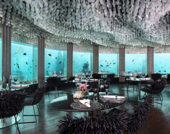 Restaurant c Niyama Private Islands Maldives