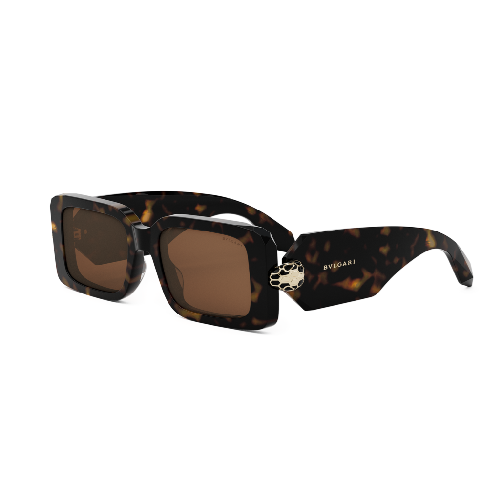 Serpenti Forever Sunglasses EUR 520 BV40044I Brown 01