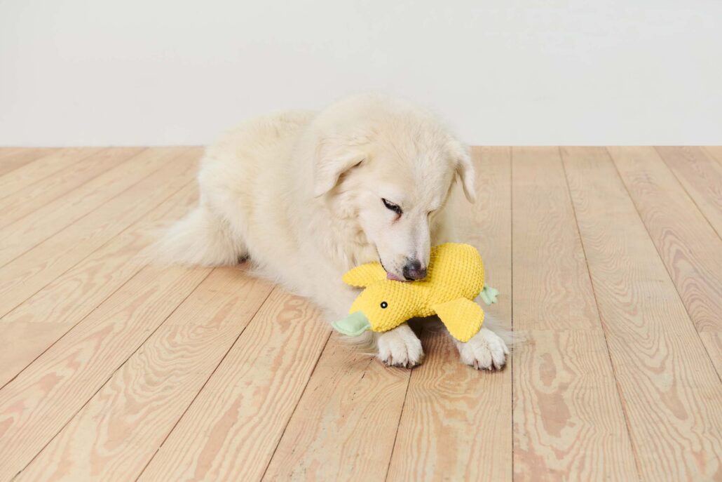 Gelbes Hundespielzeug in Entenform mit integriertem Quietscher – ideal für große und kleine Hunde.