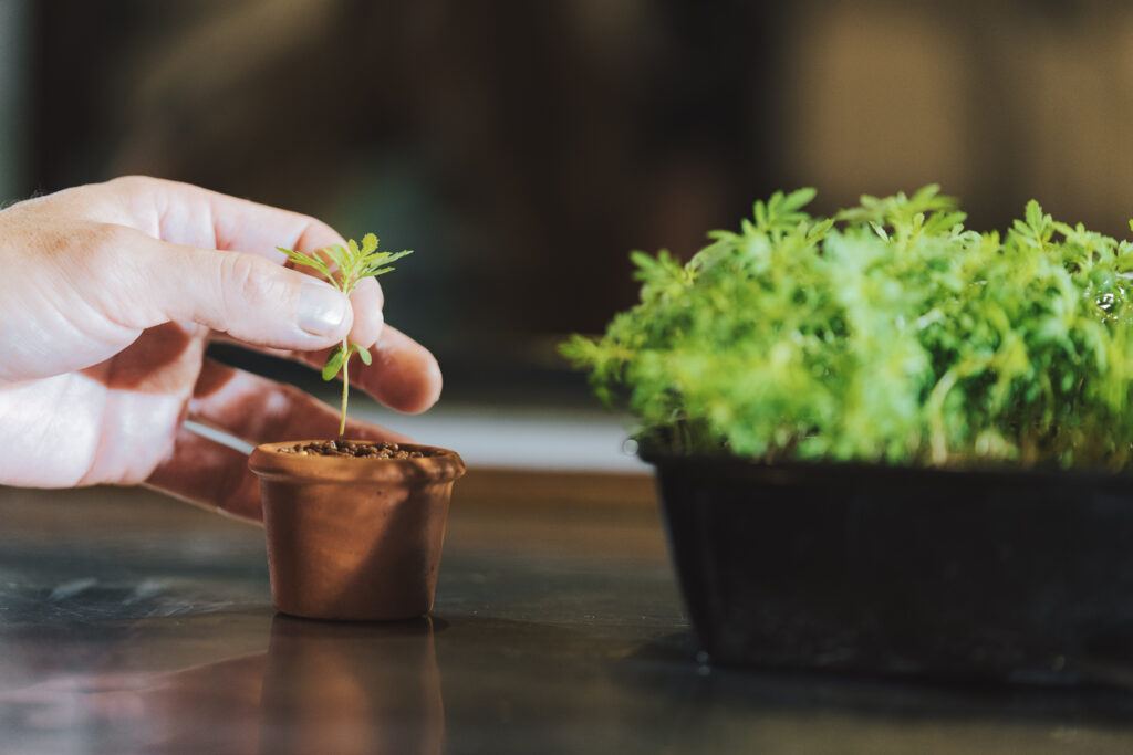 106 JET02033 1024x683 1