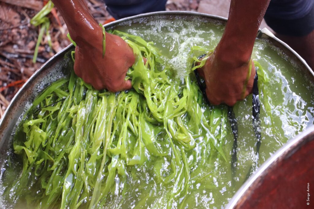 BAOBAB Collection Craftsmanship 1 1024x683 1