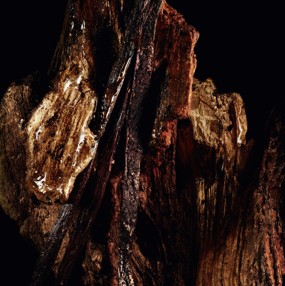 F110 BOIS TALISMAN 25 P04C INGREDIENT 1022x1024 1