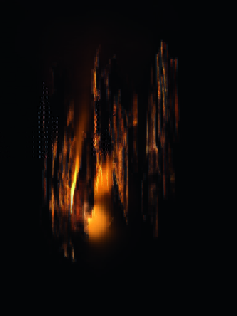 F937 DH25 P10B INGREDIENT BOIS FUMEE 05 MD F39 768x1024 1