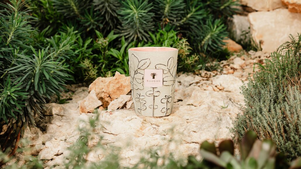 Folia Maquis ©BAOBAB