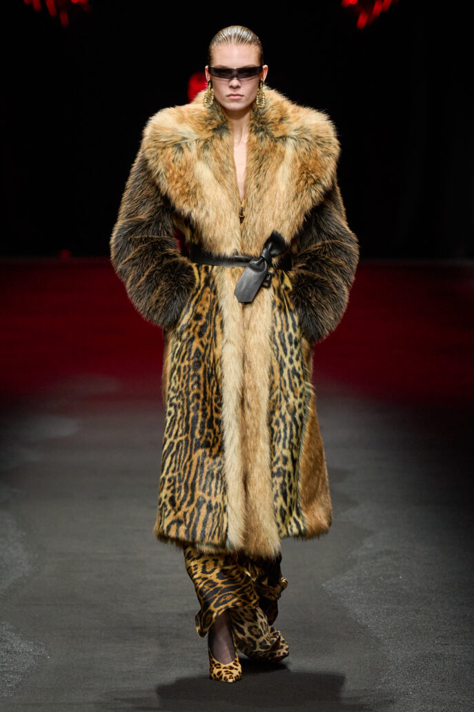 ROBERTO CAVALLI 2X3 018