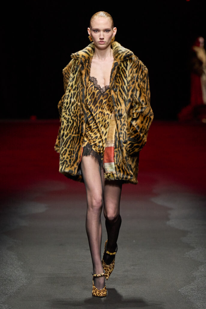 ROBERTO CAVALLI 2X3 022