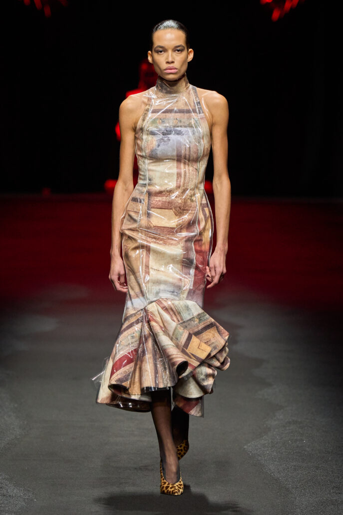 ROBERTO CAVALLI 2X3 023