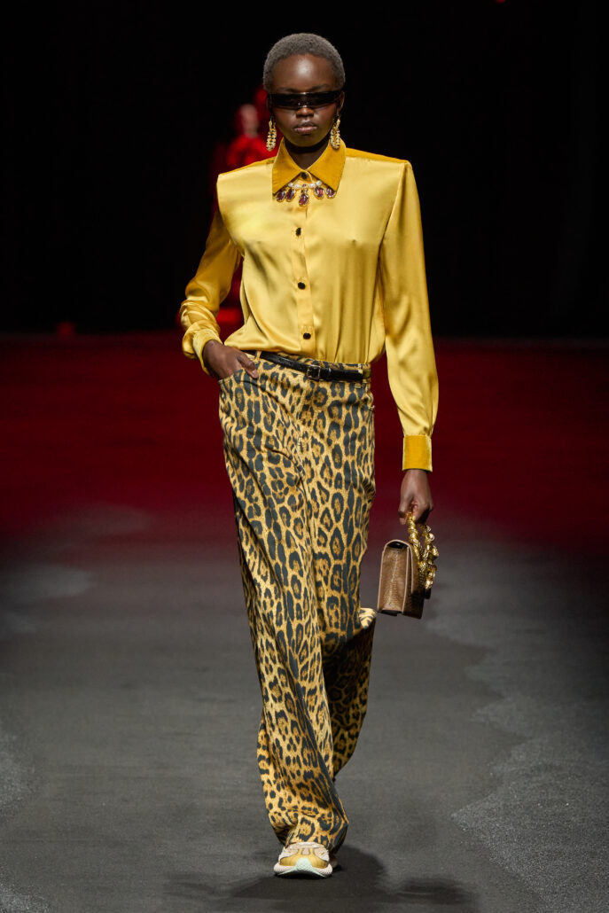 ROBERTO CAVALLI 2X3 024