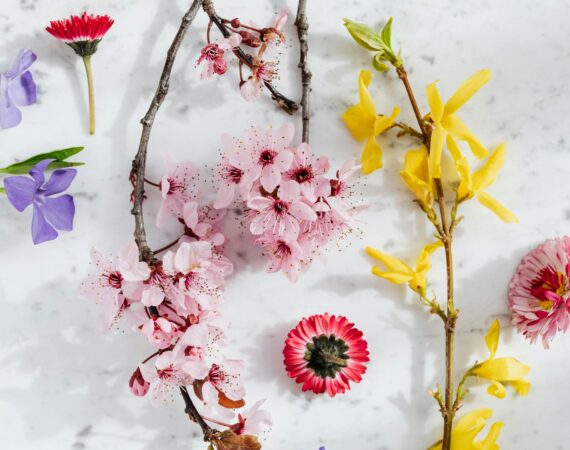 pexels karolina grabowska 4207570