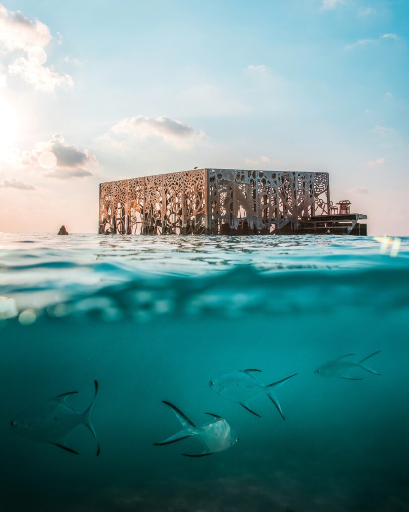 10 Sirru Fen Fushi Coralarium 6 1