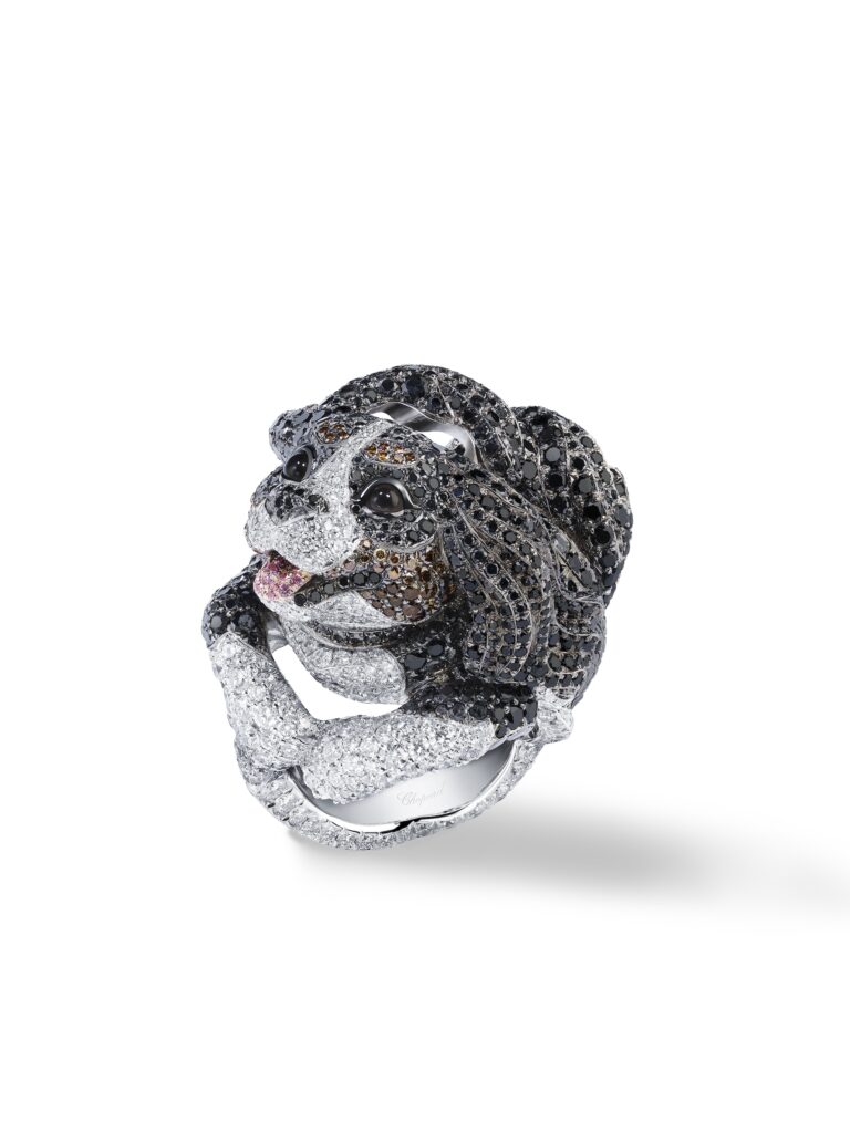 82A511 9001 Red Carpet Collection 1 768x1024 1