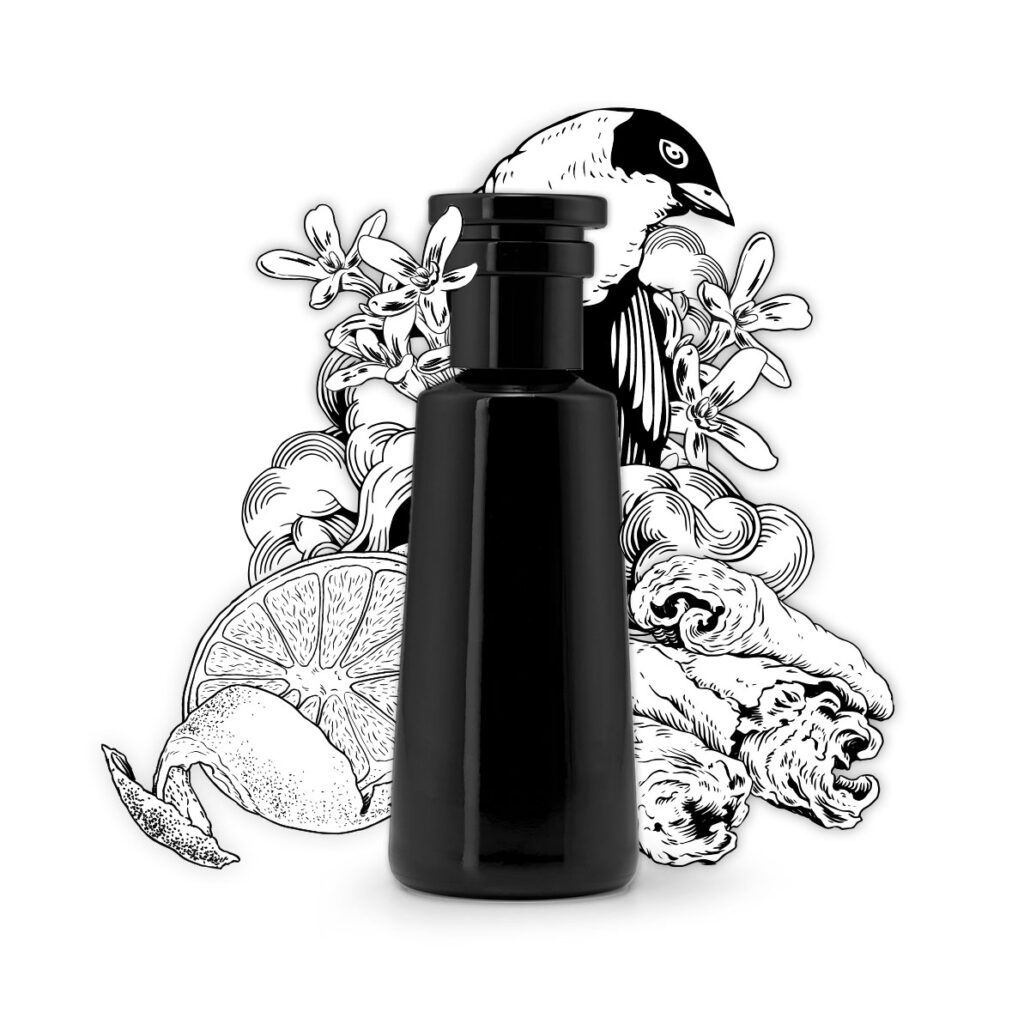 ARgENTUM les parfums infinis ArchetypeNotes 01 creator Bottle Illustration 2250x3000