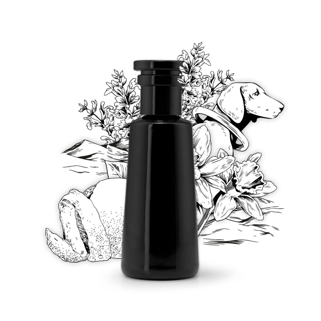 ARgENTUM les parfums infinis ArchetypeNotes 04 everyman Bottle Illustration 2250x3000