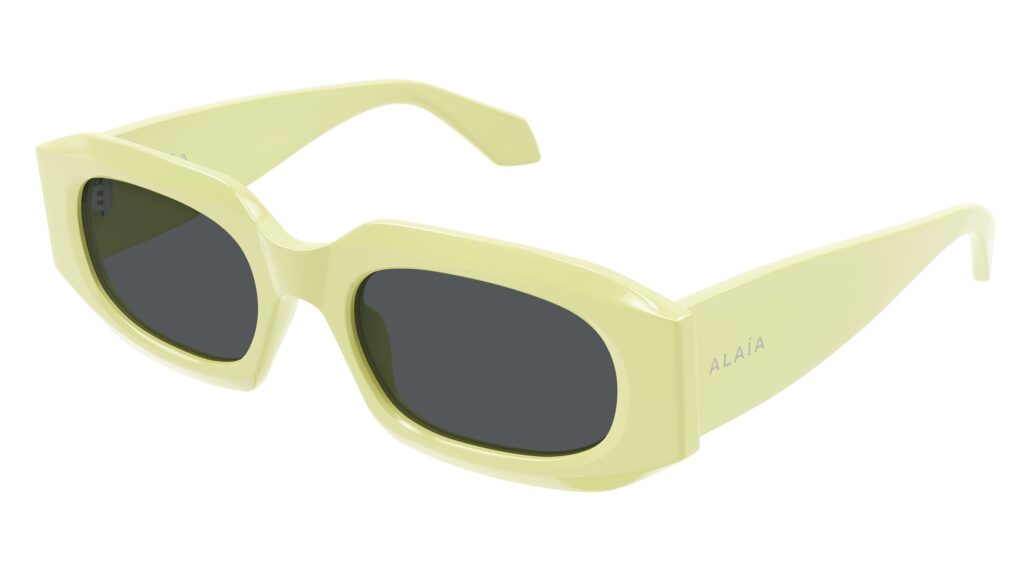 Alaia SS25 AA0086S 003 Cat